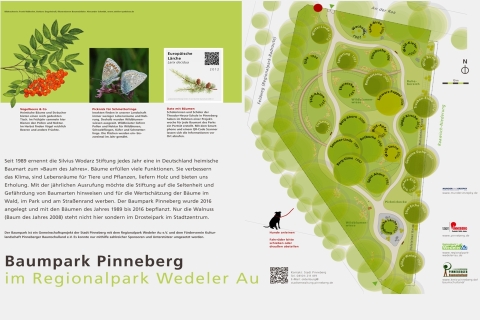 Infotafel Baumpark Pinneberg